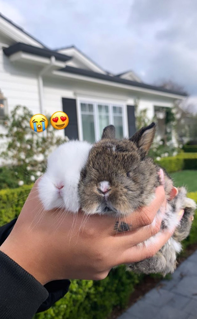 Stormi Webster, Birthday